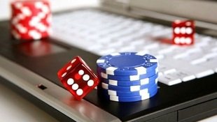 lodi 291 app